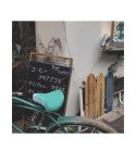 [보모드 -pt]