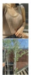 [자이브 -n] 하나언니