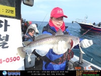 [한하 스페셜호] 대구, 우럭 조황 인터넷바다낚시 - 대한민국 바다낚시 포탈사이트