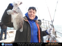 [한하 스페셜호] 5자 4자 우럭들로 대박 조황 인터넷바다낚시 - 대한민국 바다낚시 포탈사이트