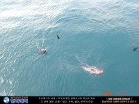 바다낚시 > 점주선장조황 > [한하 3호] 우럭들로 굿~ 조황