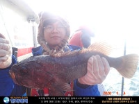 바다낚시 > 점주선장조황 > [한하 3호] 우럭들로 굿~ 조황