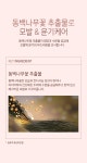 [헤드스파7]헤드스파7 카멜리아 트리트먼트 300mlx2