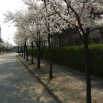 블랙야크 바람막이 | 안전한 중고나라, NO.1 직거래 번개장터 블랙야크 바람막이 | 번개장터