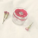 겐조 플라워 인디에어 50ml | 안전한 중고나라, NO.1 직거래 번개장터 겐조 플라워 인디에어 50ml | 번개장터