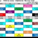 코세리 요가다른점이관가능 | 안전한 중고나라, NO.1 직거래 번개장터 코세리 요가다른점이관가능 | 번개장터