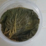딸부자네]깻잎장아찌(350g) | 안전한 중고나라, NO.1 직거래 번개장터 딸부자네]깻잎장아찌(350g) | 번개장터