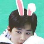 ♡엑소 인형 일괄양도 해요♡ | 안전한 중고나라, NO.1 직거래 번개장터 ♡엑소 인형 일괄양도 해요♡ | 번개장터