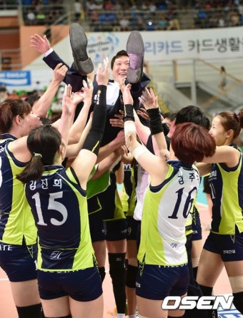 현대건설 우승,’감독님 수고하셨어요`’ | 헤럴드경제 미주판 Heraldk.com 현대건설 우승,’감독님 수고하셨어요`’
