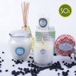 집에서 하는 힐링, 천연 향초 소이캔들 ㈜에코오가닉코리아 | 헤럴드경제 미주판 Heraldk.com 집에서 하는 힐링, 천연 향초 소이캔들... 