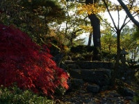 팔공산 단풍 > 테마산행