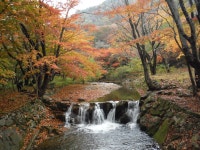 내장산 단풍공원 > 테마산행