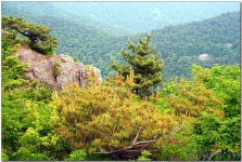 남해 망운산(2) > 지역명산