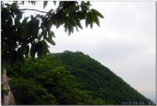 양산 오봉산(3) > 지역명산
