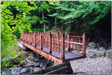 신불산 & 간월재(1) > 지역명산