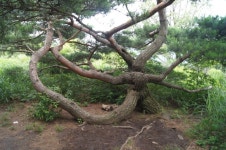문복산 > 지역명산