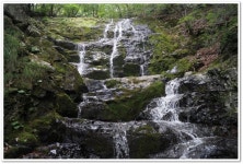 발교산(2) > 지역명산