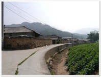 경북문경 대야산(1) > 지역명산