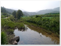 경북문경 대야산(1) > 지역명산