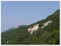 경북문경 대야산(1) > 지역명산