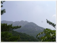 경북문경 대야산(1) > 지역명산