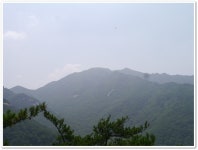 경북문경 대야산(1) > 지역명산