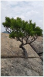 거창 우두산(2) > 지역명산