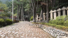 금강공원3 > 근교여행