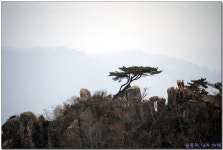 충남 대둔산 산행 (2016.03.13) (2) > 지역명산