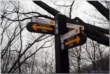 충남 대둔산 산행 (2016.03.13) (2) > 지역명산