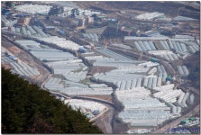 청도 남산 산행 (2016.03.09) (3) > 테마산행