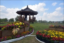 삼락공원의 가을 > 근교여행