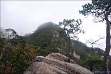 단양 도락산 산행 (2016.09.19) (3) > 지역명산