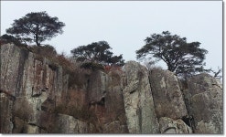 광주 무등산 > 지역명산