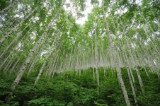 곰배자작 > 등산낚시가이드