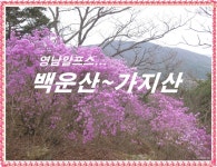 백운산-가지산 > 지역명산