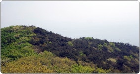 인천 무의도 호룡곡산(2) > 섬여행