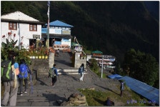 ABC 트레킹 5일차 (Ghomrong-Himalaya) > 테마산행