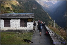 ABC 트레킹 5일차 (Ghomrong-Himalaya) > 테마산행