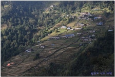 ABC 트레킹 5일차 (Ghomrong-Himalaya) > 테마산행