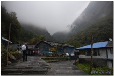 ABC 트레킹 5일차 (Ghomrong-Himalaya) > 테마산행