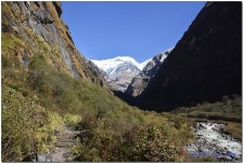 ABC 트레킹 6일차 (Himalaya-ABC) > 테마산행