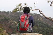 관악산 최고의 백미인 육봉과 팔봉산행 (3) > 지역명산