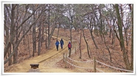 군포 수리산둘레길 > 둘레길