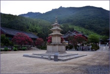 밀양 표충사 > 테마산행