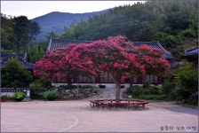 밀양 표충사 > 테마산행