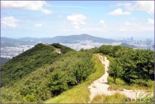 백양산 산행 (2) > 지역명산