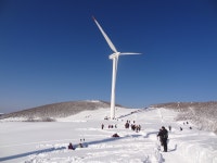 ◐ 2월 23일 (토) 대관령 “선자령” 새봉 설경산행 > 솔바람산악