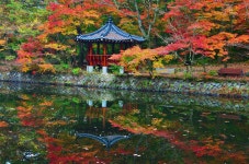 선운단풍 > 등산낚시가이드