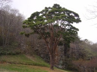 선운산 > 등산낚시가이드